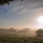 Die Nebel steigen...