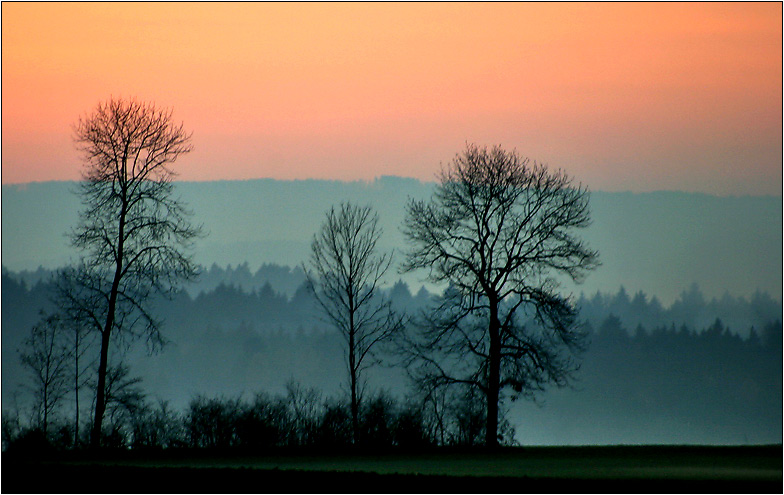 Die Nebel steigen