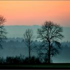 Die Nebel steigen