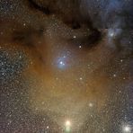 Die Nebel um Rho Ophiuchi und Antares