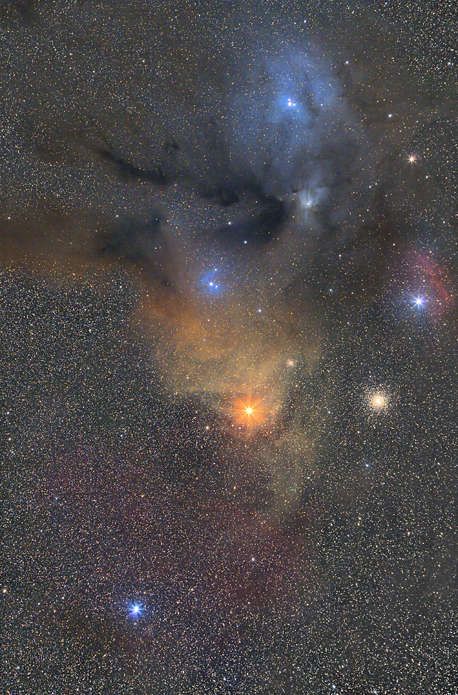 Die Nebel um Rho Ophiuchi und Antares