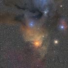 Die Nebel um Rho Ophiuchi und Antares