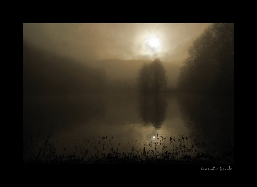 Die Nebel vom Kaltental (3)