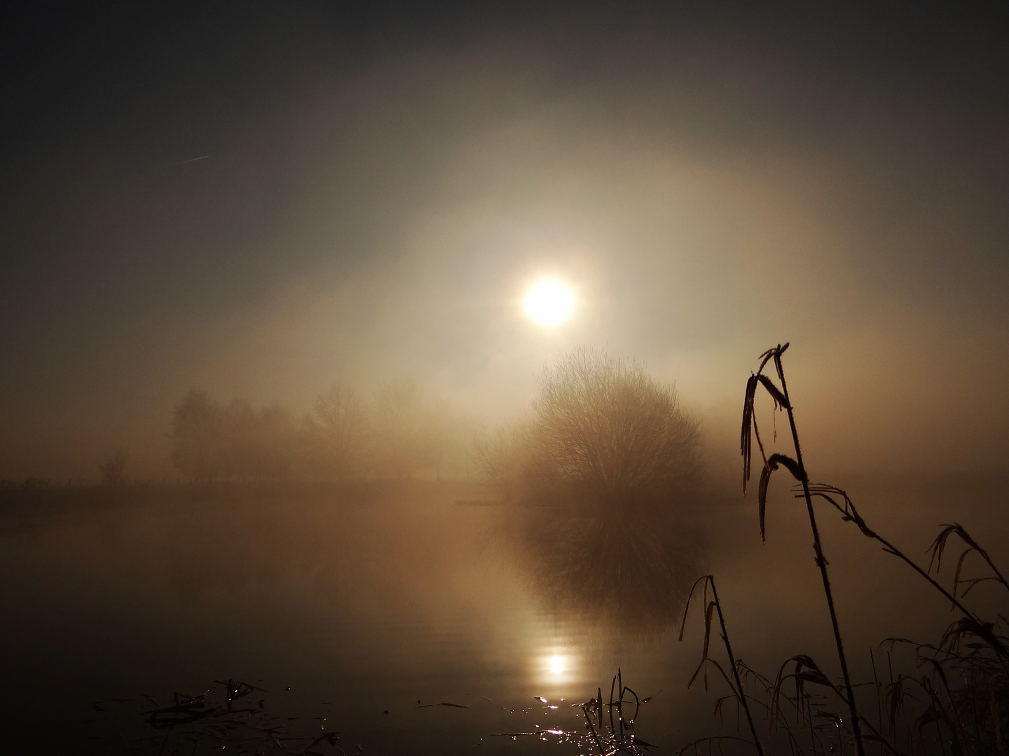 Die Nebel von...