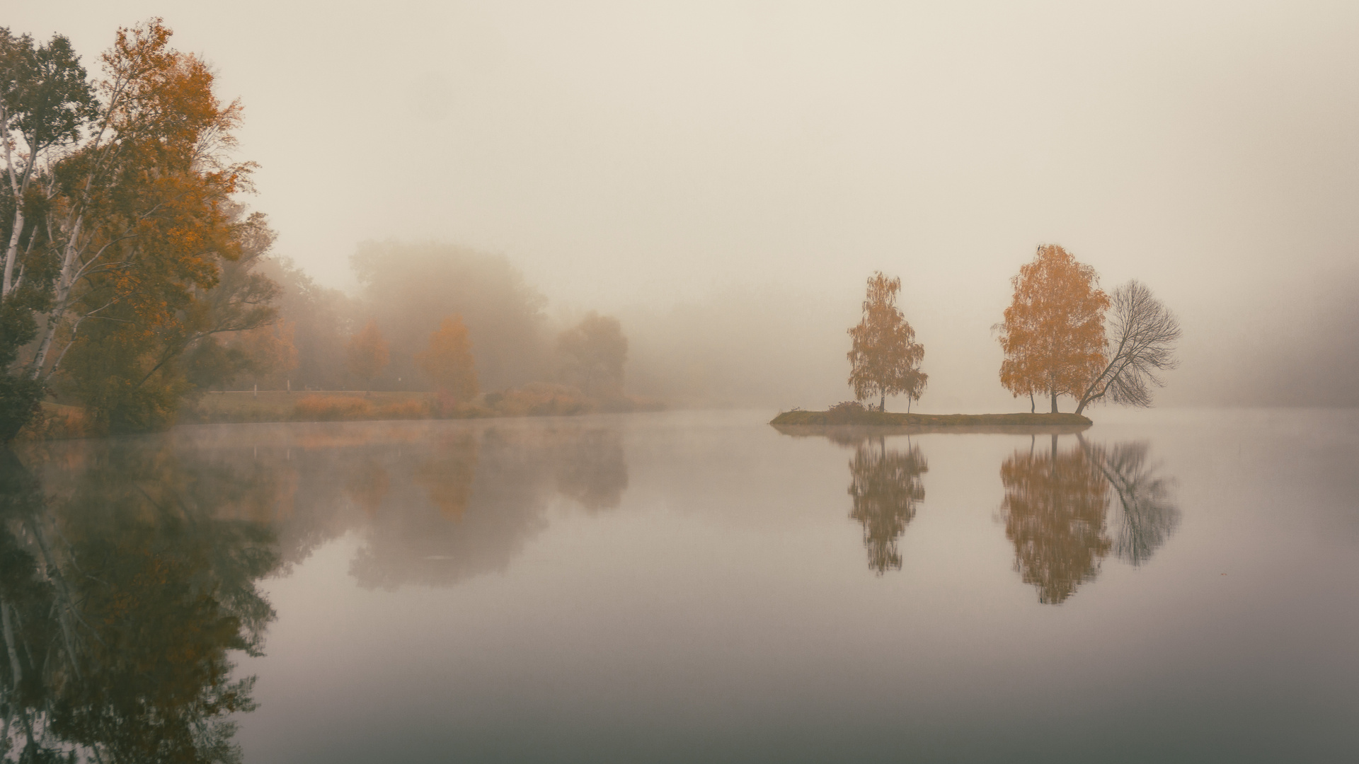 Die Nebel von Avalon