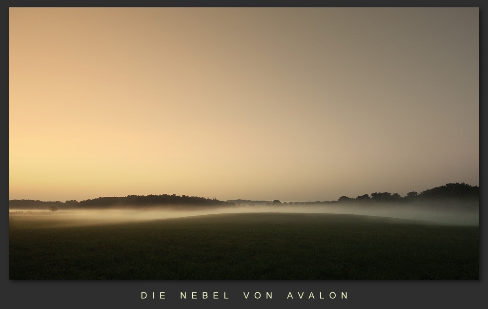 Die Nebel von Avalon