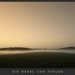 Die Nebel von Avalon