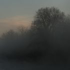 Die Nebel von Avalon