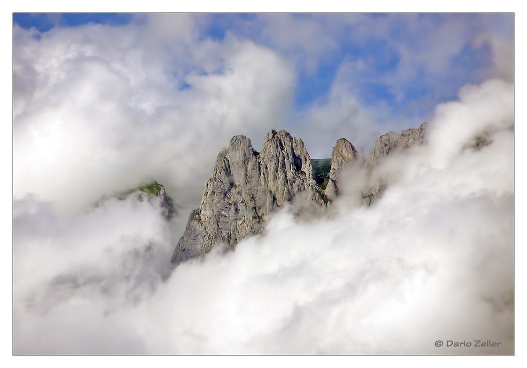 Die Nebel von Avalon