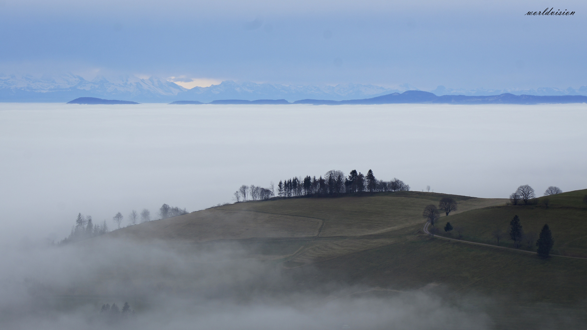 die Nebel von AVALON