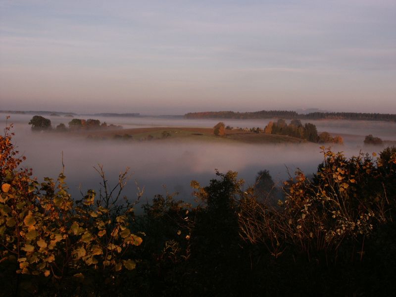 die nebel von avalon