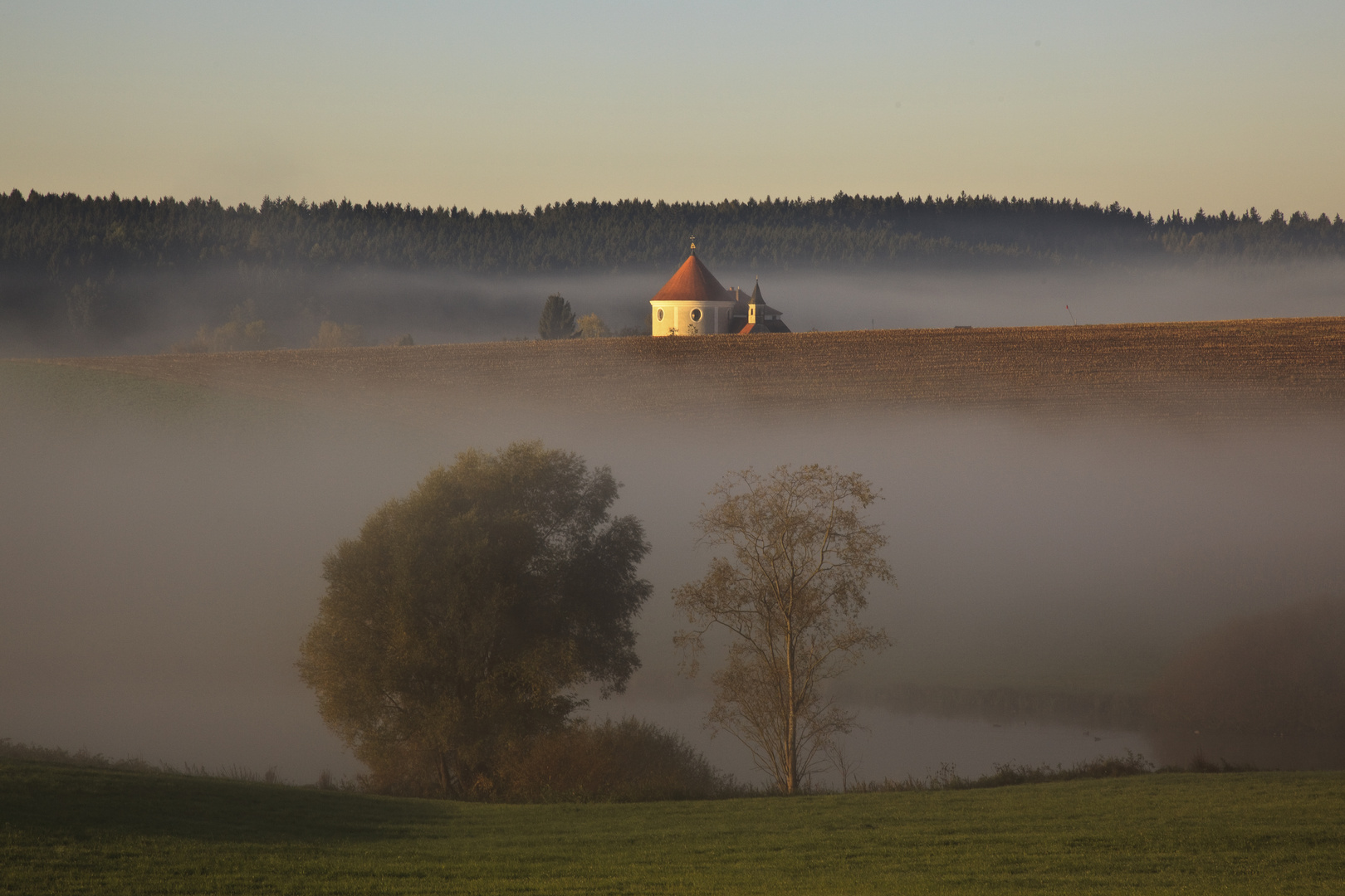 Die Nebel von Avalon