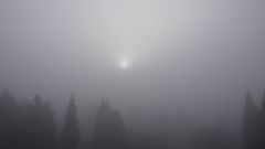 "Die Nebel von Oberhausen"