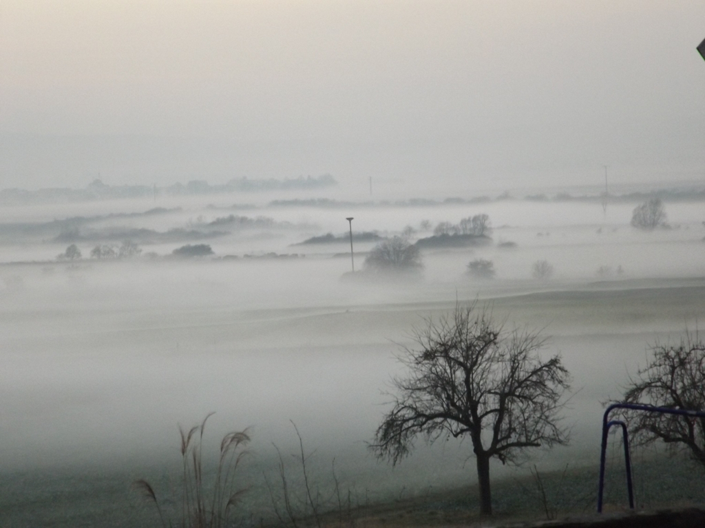 Die Nebel wallen