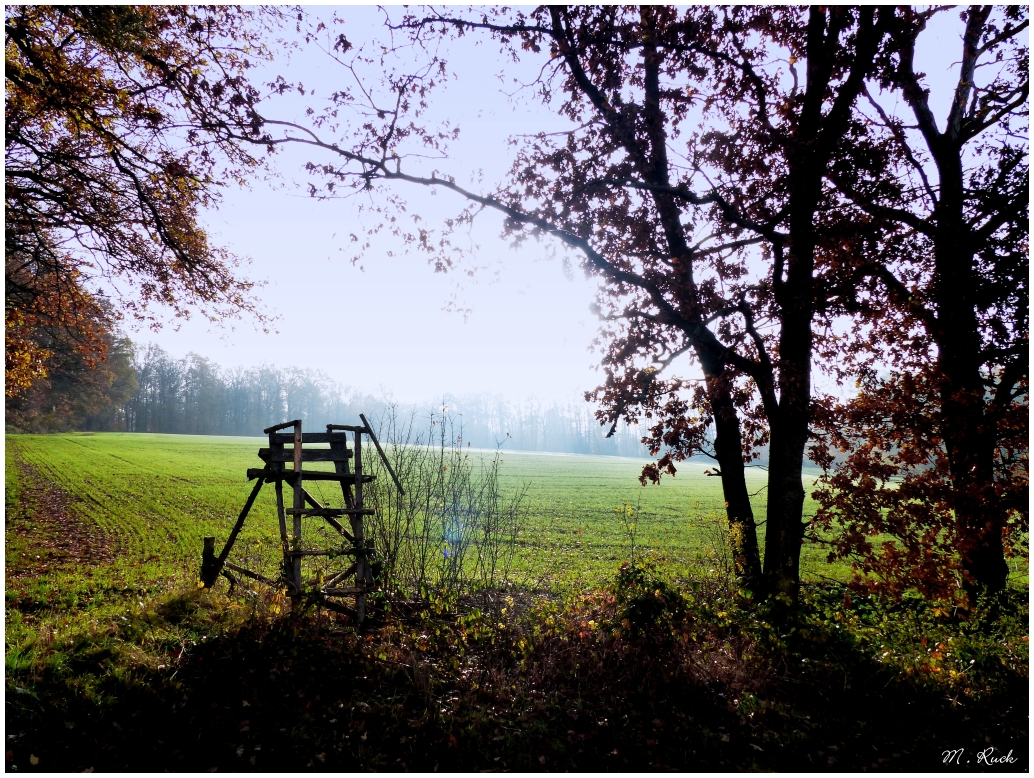 Die Nebel werden häufiger ,