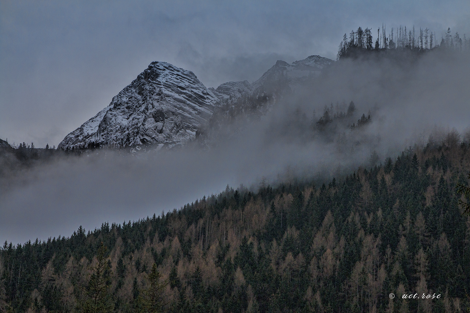 Die Nebel ziehen ums Gebirge