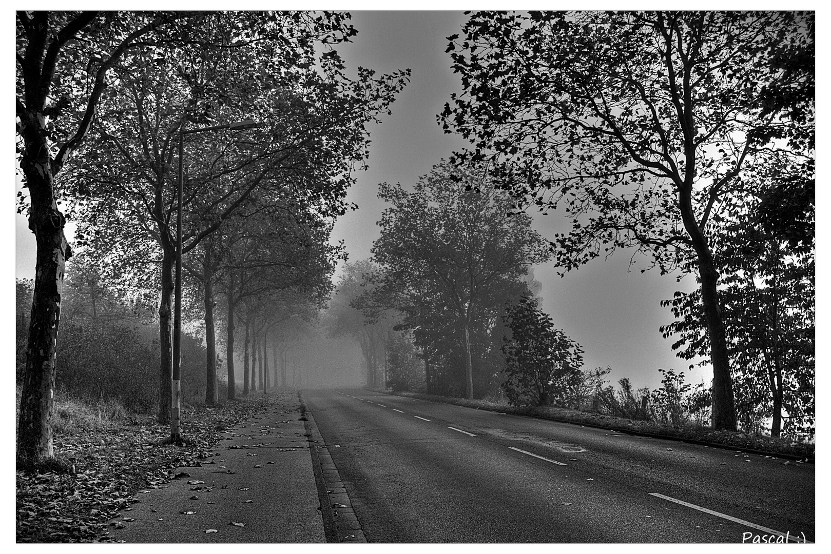 " Die nebelige Strasse ,irgendwo in Duisburg "