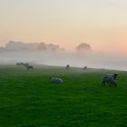 Die Nebelsuppe löst sich langsam auf