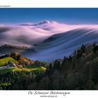 Die Nebelwelle in der Schweizer Belchenregion