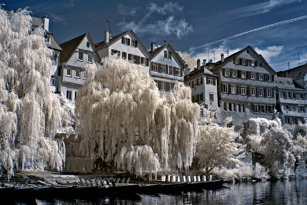 Die neckar Promenade 2