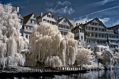 Die neckar Promenade 2