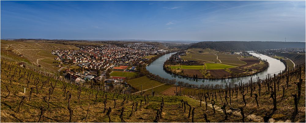 Die Neckarschleife bei Mundelsheim