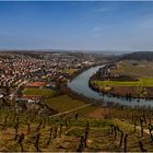 Die Neckarschleife bei Mundelsheim