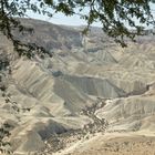 Die Negev-Wüste 2