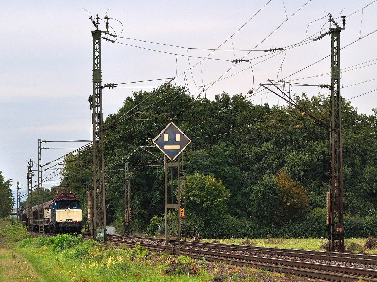 Die Netztrennstelle bei Bischofsheim ...