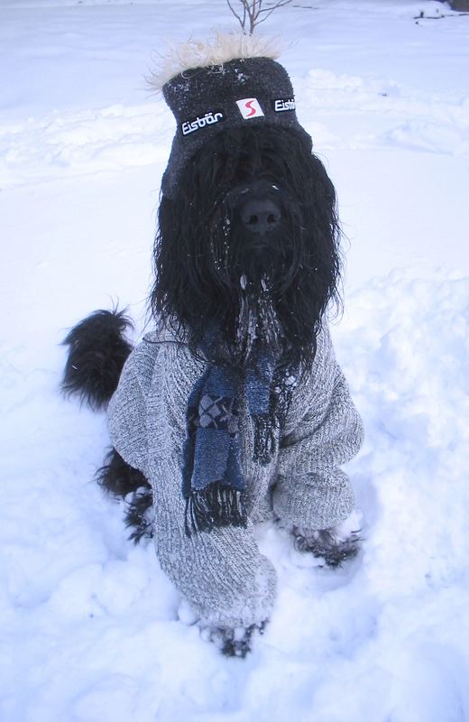 Die neue Briard-Winterkollektion....