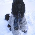 Die neue Briard-Winterkollektion....