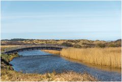 die "neue" Brücke