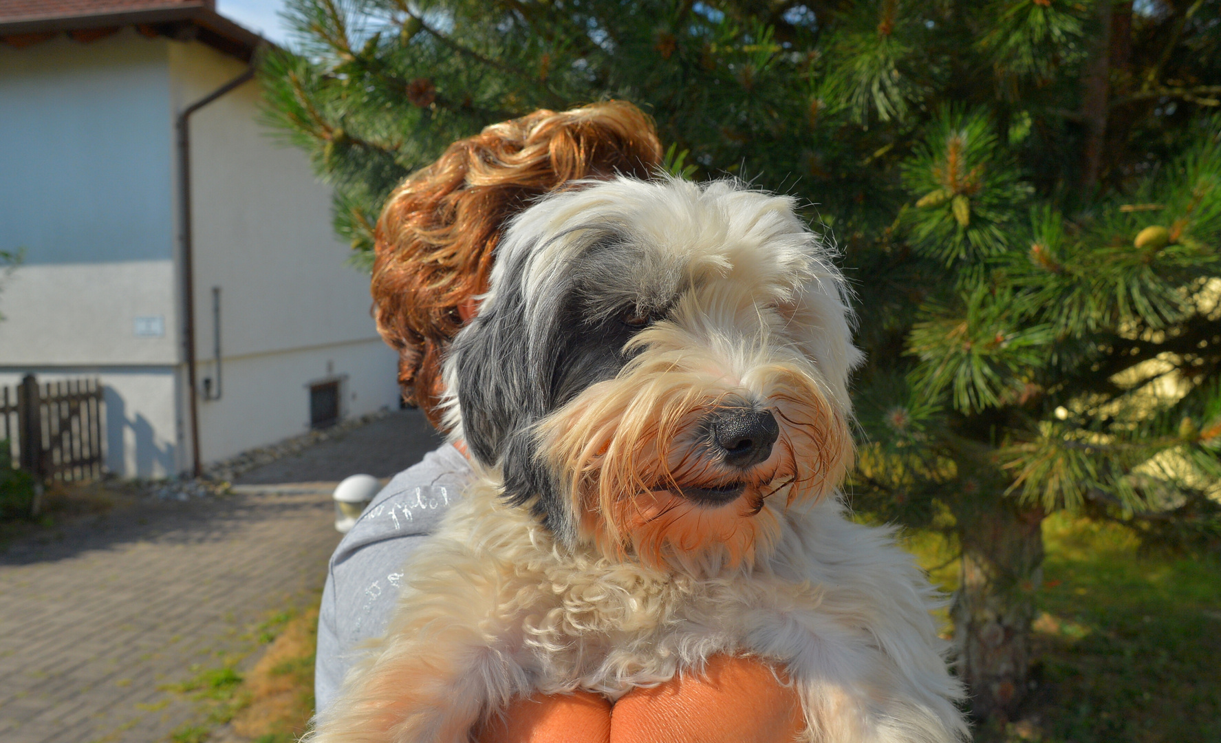 die neue Freundin meiner Tochter (la nueva mascota de mi hija)