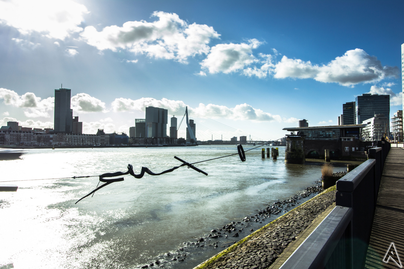 Die Neue Maas und die Erasmusbrücke