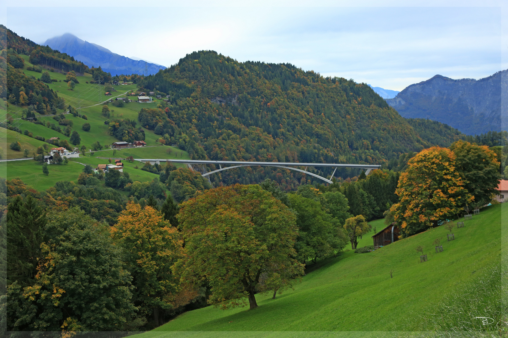 die neue Taminabrücke