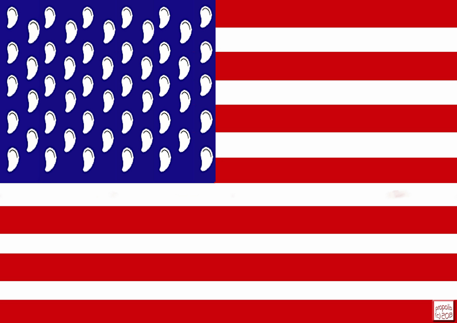 die neue US-Flagge?