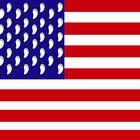 die neue US-Flagge?