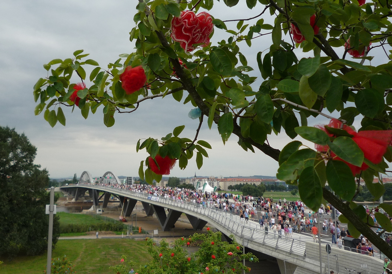 Die neue Waldschlößchenbrücke in Dresden