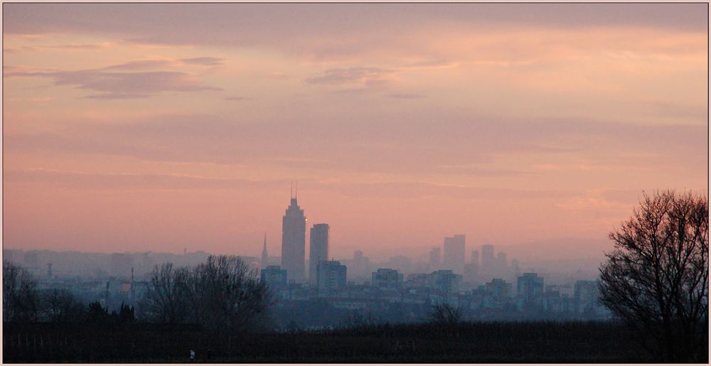 Die neue Wiener Skyline