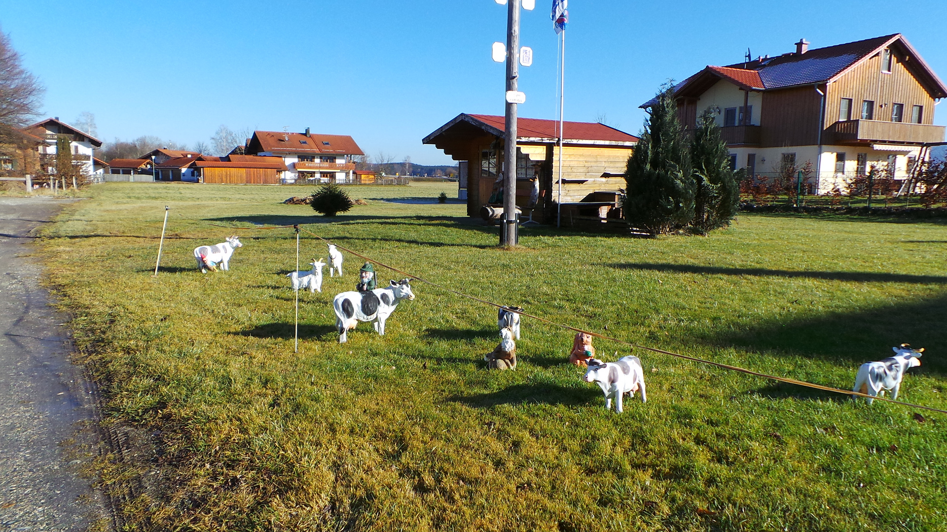 Die neuen DorfKühe