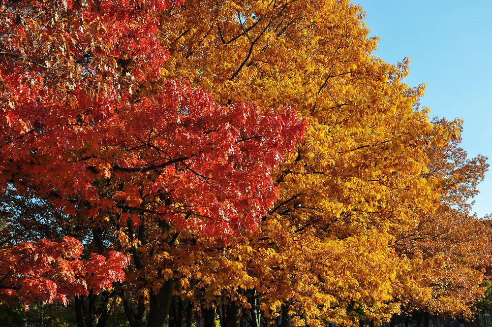 Die neuen Farben der Herbstsaison 2011...........
