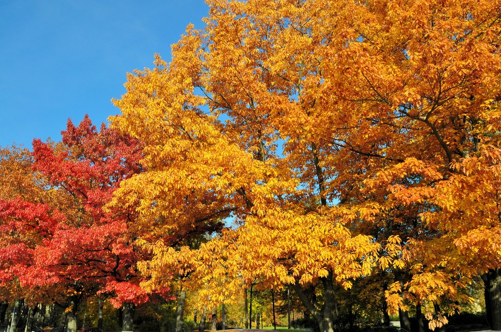 Die neuen Farben der Herbstsaison 2011............