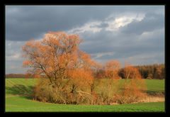 Die neuen Farben des Winters