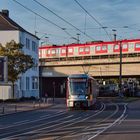 Die Neuen kommen in Fahrt