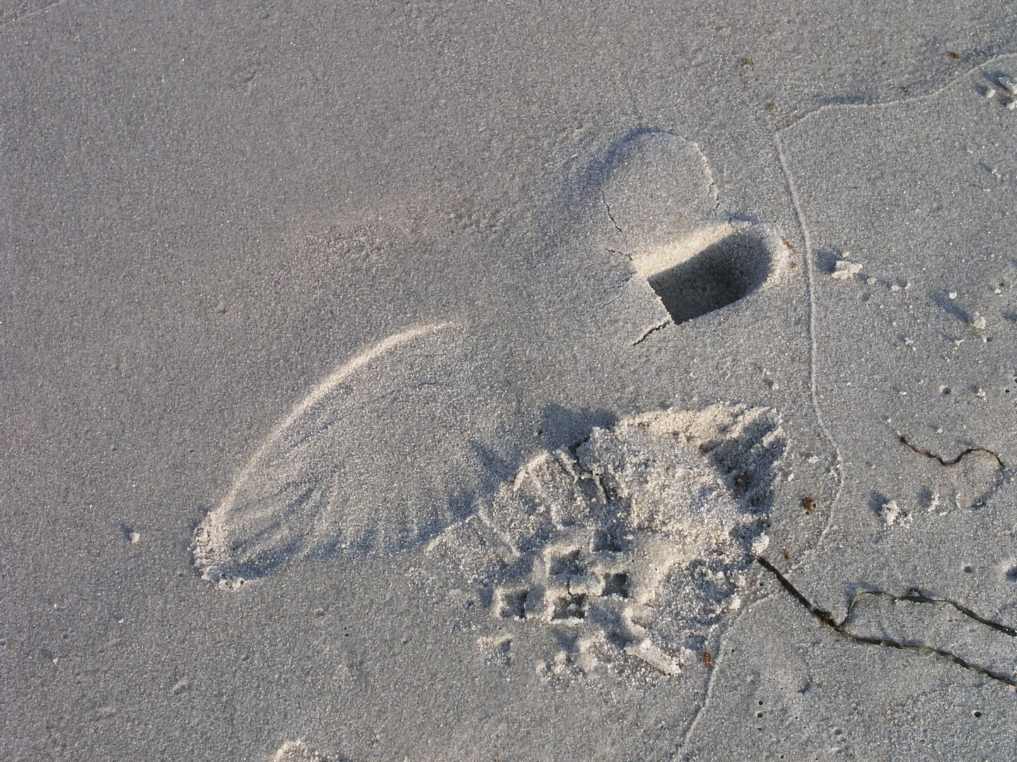 Die neueste Strandmode