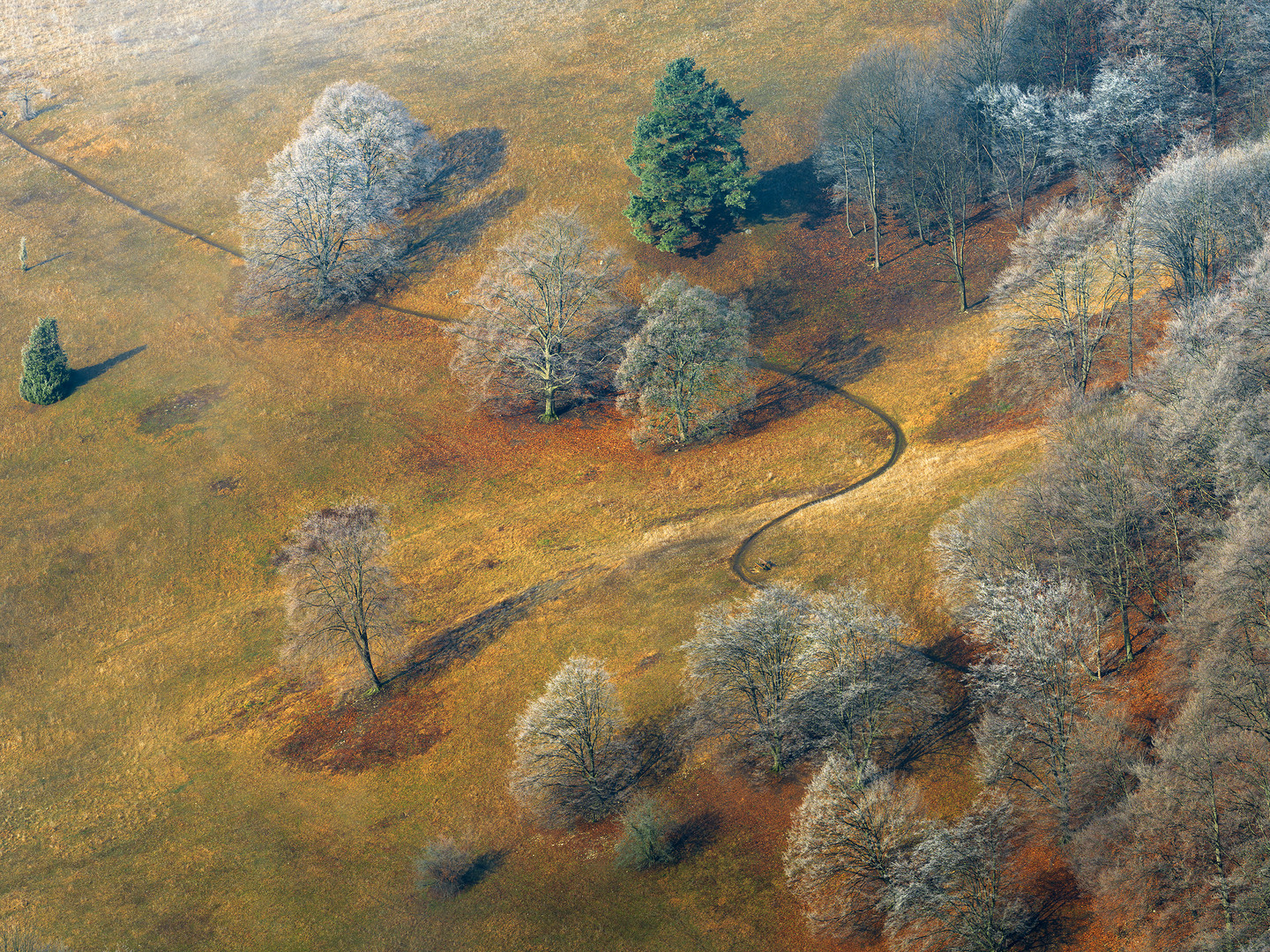 Die Neuffener Heide