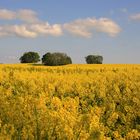 Die neun Berge