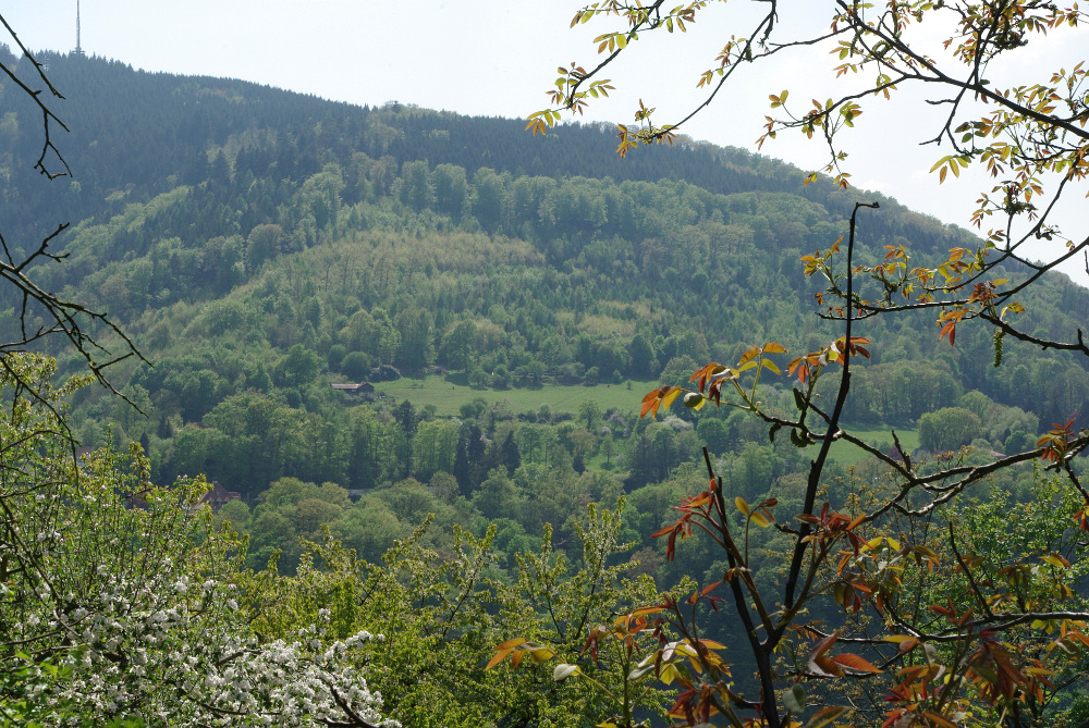 Die „Neuneralm“