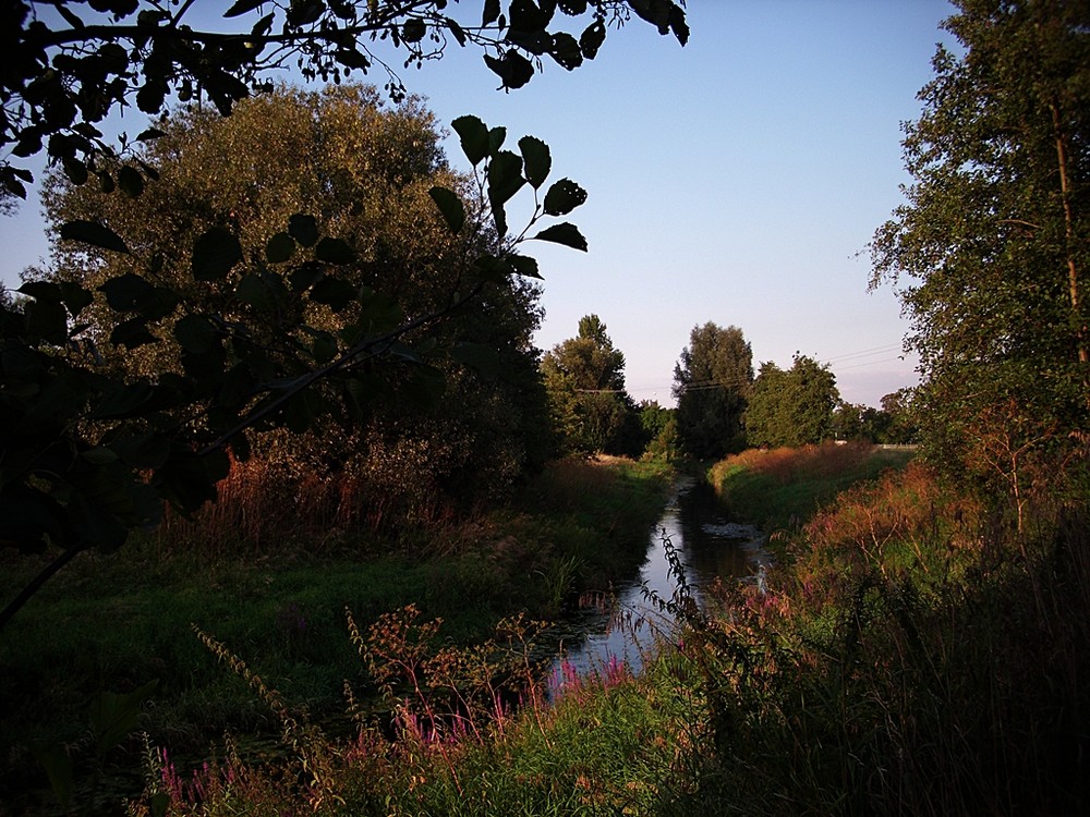 Die NIdda 2