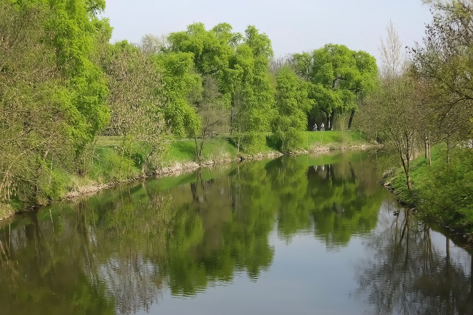 Die Nidda, Frühling 2014